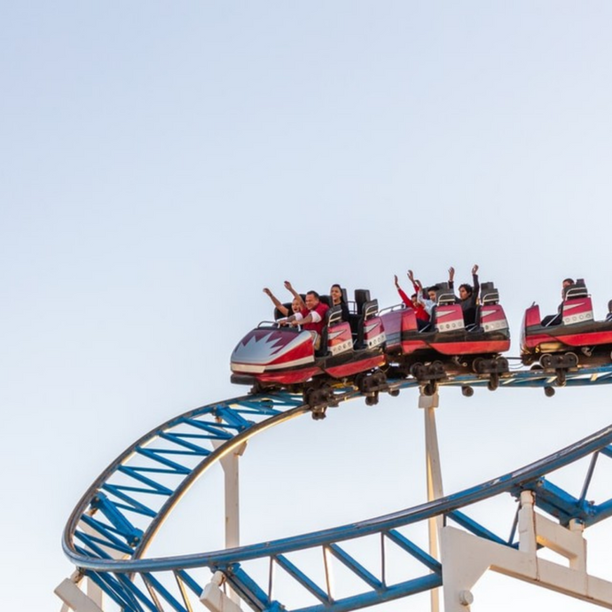 The Roller Coaster Ride of an Entrepreneur: Lessons Learned on my Journey